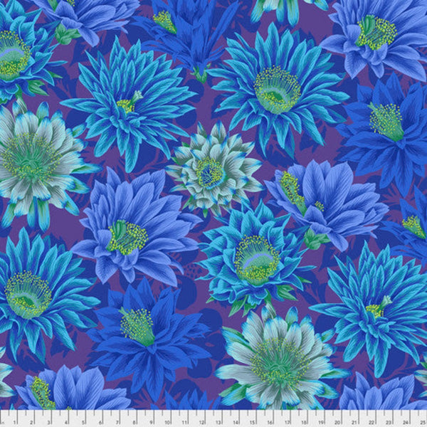 Philip Jacobs: Cactus Flowers in Blue PWPJ096-BLUE