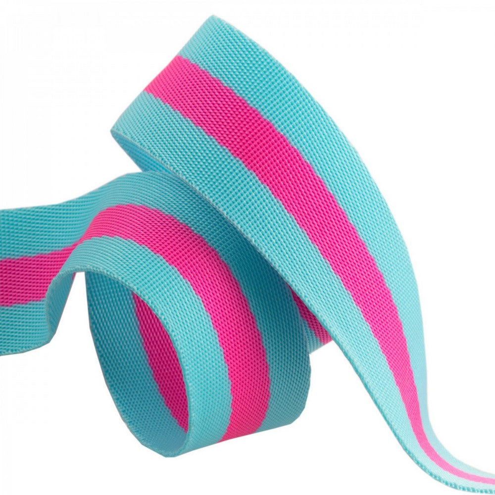 Tula Pink Webbing - Aqua and Hot Pink